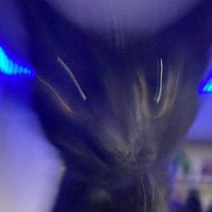 Meet your Posher, Edward